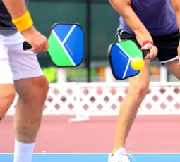 Hajimari Pickleball 3